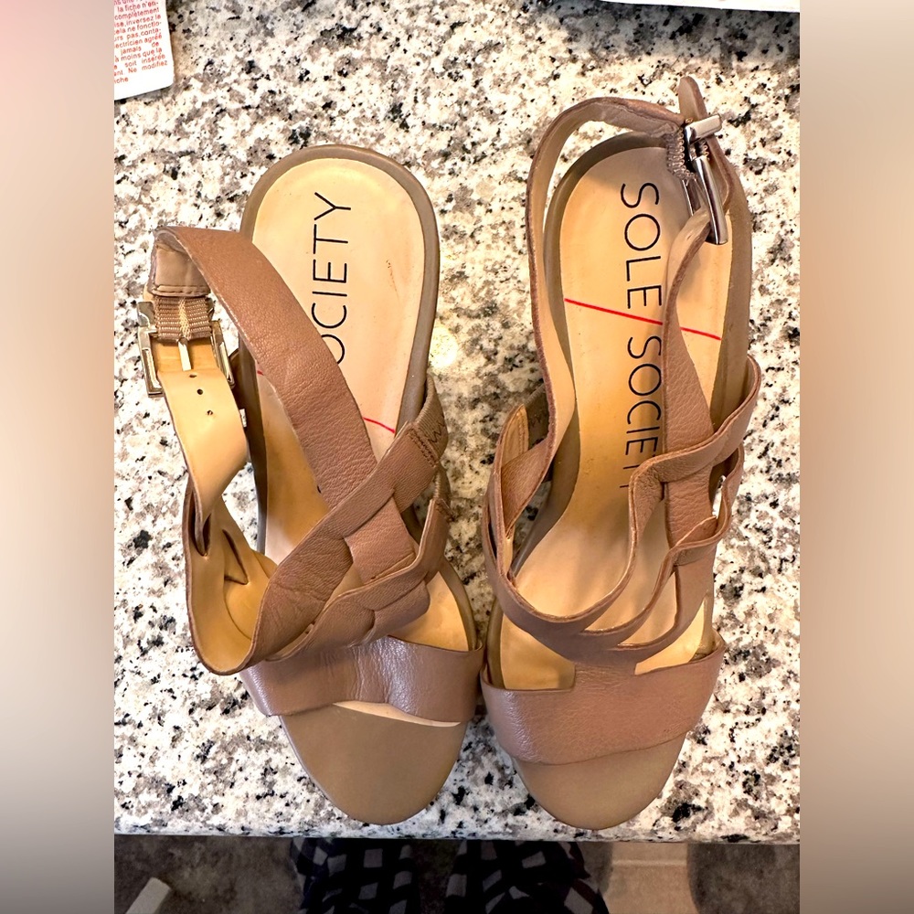Sole Society Platform Wedge Sandals
